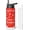 christmas snowflake bottle-01, variant on Christmas Greeen Gingerbread 18oz Sport Water Bottles with Flip Straw & Spout Lid, Xmas Snowman Stainless Steel Travel Cup, Winter Holiday Gifts for Women Men (1 PC)