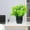 Green3_C, variant on YOHAVEN Artificial Green Plant Potted Faux Leaves Plastic Small Bonsai Tabletop Decoration Office Desk Home Decor Fake Plants Arrangement for Living Room Bedroom