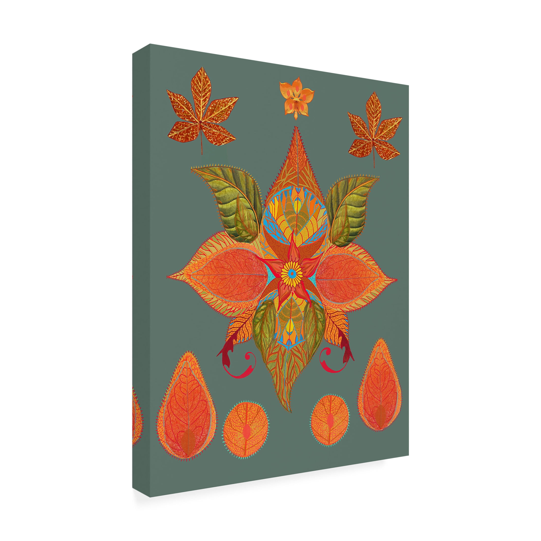 Trademark Fine Art giovanna nicolo Inventive Leaves Canvas Wall Art