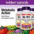thumbnail image 2 of webber naturals® B6, B12 with Folic Acid -- 3 x 120 Capsules, 2 of 3