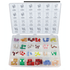 118 PC PLUG-IN FUSE ASSORTMENT
