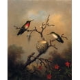 thumbnail image 2 of Heade, Martin Johnson 15x18 White Modern Wood Framed Museum Art Print Titled - Ruby Throated Hummingbird, 2 of 4