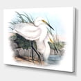 thumbnail image 3 of Designart ' Ancient Bird Life I ' Traditional Canvas Wall Art Print, 3 of 4