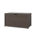 thumbnail image 1 of Harmony™ Toy Chest in Dapper Gray by Forever Eclectic™, 1 of 9