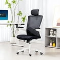 thumbnail image 2 of HOMCOM Chaise de Bureau Ergonomique, Chaise de Bureau avec Appuie-Tête Réglable, Noir, 2 of 10