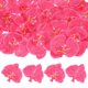 thumbnail image 1 of Cabezas de Flores de Orquídea Artificiales de 20 Paquetes, Flores de Mariposa de Seda Falsas para Decoración [3.54", Rojo Rosa], 1 of 1