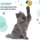 thumbnail image 4 of 20 piezas juguetes de hierba gatera para interior gato de peluche lindo gatito juguetes de hierba gatera almohada para gatos juguetes gatito entretenimiento Juguetes MFZFUKR BST3001517, 4 of 6