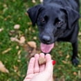 thumbnail image 6 of Zesty Paws Hip & Joint Bites Duck Flavor Dog Supplement, 60 Count, 6 of 12