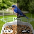 thumbnail image 6 of Smart Bird Feeder with Camera, AI Identify Bird Breed, Solar-Powered WiFi FHD 2K Live Camera, Auto Capture Backyard Garden Bird Watching, IP65,Motion Detection, Cloud and SD Card Storage, 6 of 14