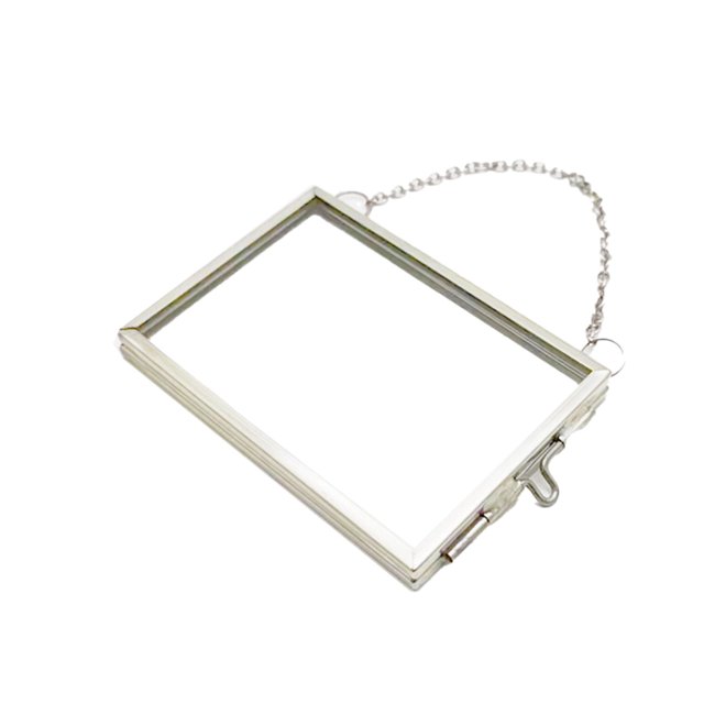 ZheElen Embossed Glass Photo Frame With glass frame, Strong Load-bearing Chain – Plant Wall Decor Suitable