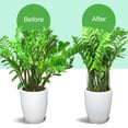 thumbnail image 4 of Estacas para plantas LEOBRO, 12 unidades, jaulas y soportes para peonías, 4 of 7