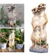 thumbnail image 4 of Estatuas Esculturas Lindo conjunto de escultura de mangosta de resina ornamental figurita estatua miniatura Jardín de hadas Oficina escritorio Decoración Magideal Estatuas Esculturas, 4 of 8