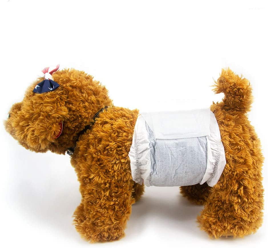 Can Boy Dogs Wear Diapers