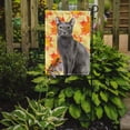thumbnail image 2 of Carolines Treasures CK3076GF Blue Russian Fall Leaves Flag Garden Size  Small multicolor, 2 of 3