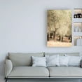 thumbnail image 3 of Trademark Fine Art 'Olive Trees 2' Canvas Art by Dan Ballard, 3 of 3