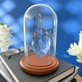 thumbnail image 3 of Plymor 4" x 7" Watch / Ornament Glass Display Dome Cloche (Walnut MDF Base & Brass Wire), 3 of 3