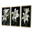 thumbnail image 3 of Designart "White Green Lily Exquisite Lily Painting I" Floral Framed Wall Art Set Of 3 - White Lilies Frame Gallery Set For Office Decor, 3 of 7