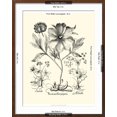 thumbnail image 5 of Art.com Black and White Besler Peony II Art Print by Besler Basilius, Brown Frame Wall Art, 23" x 29", 5 of 5