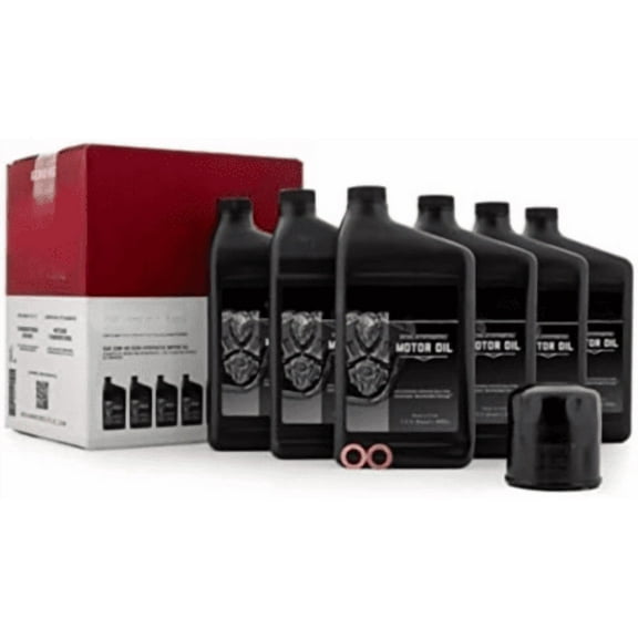 Thunderstroke Oil Change Kit, Fits 111 and 116 engines, Part 2889311, 6 Quarts of 20W-40 Semi-Synthetic Motor Oil, 1 Filter & 2 Washers