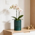 thumbnail image 3 of Jardinière Orchidée Orchidée avec Trous et Soucoupe et Céramique pour Intérieur Extérieur, 3 of 4