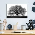 thumbnail image 4 of Epic Art 'The Tree' by John Jones, Acrylic Glass Wall Art, 16"x12", 4 of 8