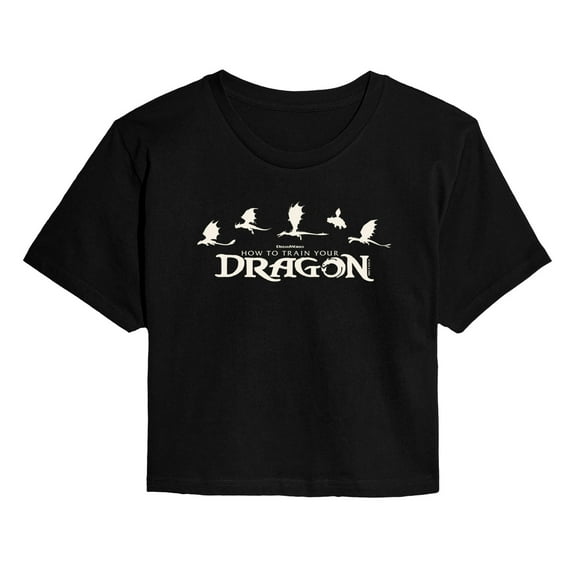 How To Train Your Dragon - Dragons - Juniors Cropped Short Sleeve Graphic T-Shirt