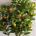 thumbnail image 3 of Árbol artificial Vickerman Everday 48 verde/naranja Real Touch, 3 of 5