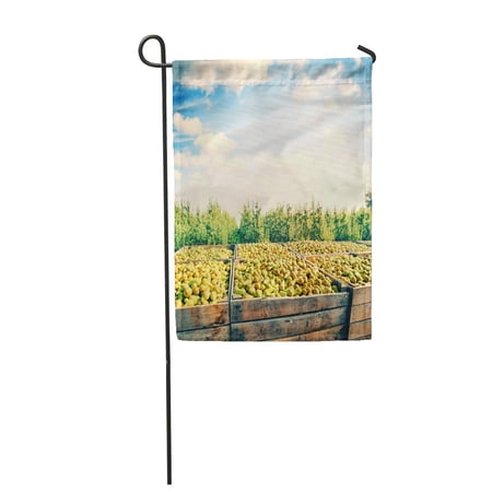 SIDONKU Blue Fruit Freshly Harvested Pears in Wooden Crates Green Orchard Garden Flag Decorative Flag House Banner 12x18 inch