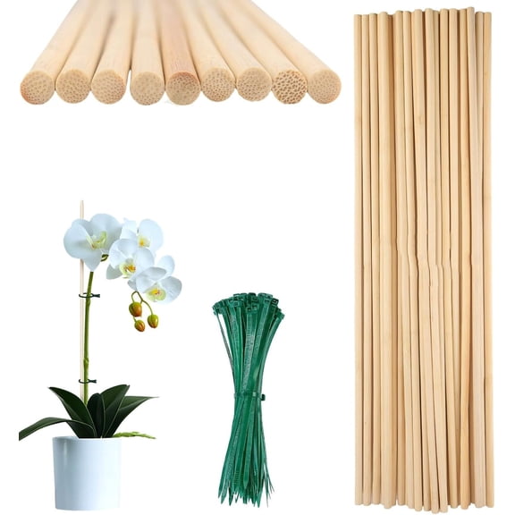 40 Pcs Bamboo Plant Stakes with 100 Pcs Green Ties, Bexikou 15.75 Inch Natural Garden Stakes, Plant Support Stakes for Indoor Outdoor Plants, Orchid Tomato Vegetable Climbing Plants Garden Stakes
