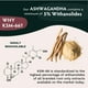 thumbnail image 5 of Suplemento de gomitas de Ashwagandha KSM-66 de TRIBE ORGANICS, 600 mg, 5 of 8