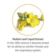 Botanic Choice Mullein Leaf Liquid Extract , 1 oz
