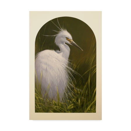 Trademark Fine Art 'White Egret' Canvas Art by Michael Jackson