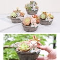 thumbnail image 3 of Grand Transparent 3 Types Mignon Animal Pot de Fleurs Carné Style Campagnard Américain Pots pour Succulentes Résine Mini Pots de Fleurs Pots de Fleurs Mode Jardinières, 3 of 6