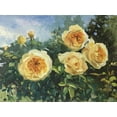 thumbnail image 2 of Strube, Ling 32x25 Gold Ornate Wood Framed with Double Matting Museum Art Print Titled - Garden Rose III, 2 of 4
