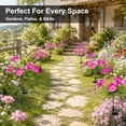 thumbnail image 4 of Rirool Solar Camellia Flower Garden Stake Lights, 7 Heads Outdoor Solar Lights Waterproof, Warm White Decorative Lights for Yard Lawn Patio Pathway, Pink 2 Pack, 4 of 8