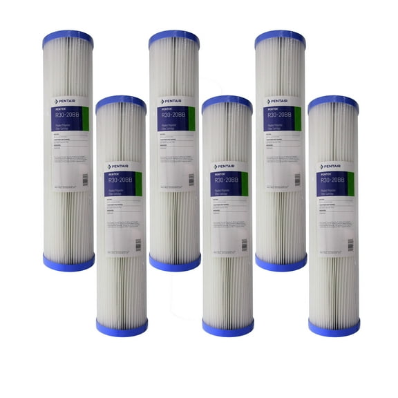 Pentek R30-20BB 30 Micron Whole House 20 x 4.5 Pleated Sediment Filter 6 Pack