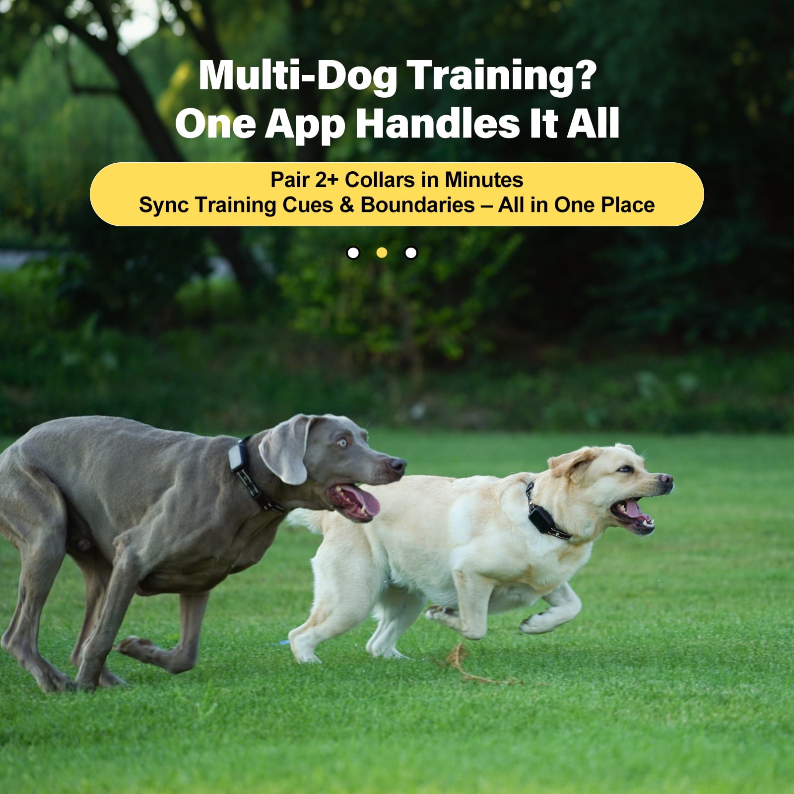 GPS Wireless Dog Fence System - Electric Training Collar with Free App for Dogs 15 Lbs+ (Black)