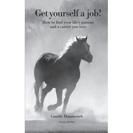 Get yourself a job : How to find your lifes passion and a career you love (Paperback)