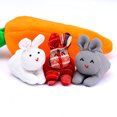 thumbnail image 1 of Monedero de zanahoria con tres conejos, regalo de conejito de Pascua, monedero de zanahoria, adorno divertido, 3 conejos en 3 colores y una zanahoria TUNC Sencillez, 1 of 5