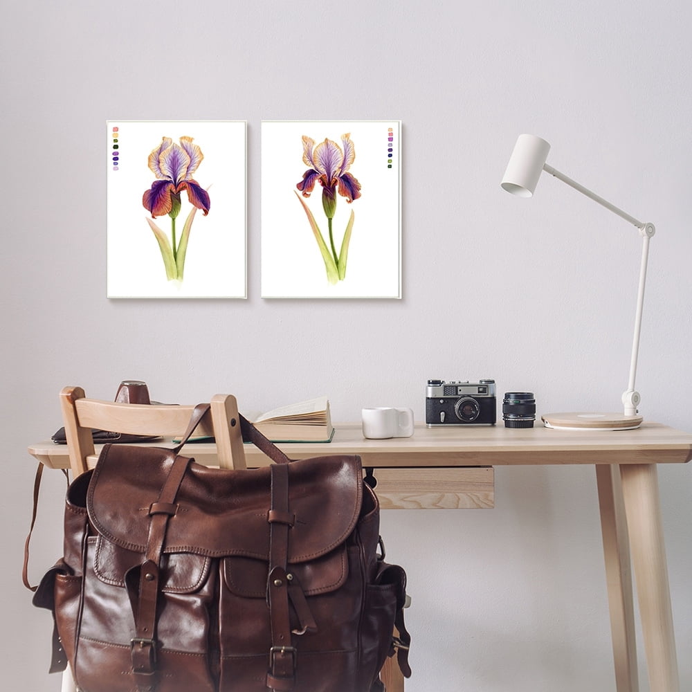 Stupell Industries Orange Purple Iris Flower with Color Key Canvas Wall Art by Grace Popp