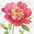 thumbnail image 2 of Audit, Lisa 20x20 Gold Ornate Wood Framed with Double Matting Museum Art Print Titled - Pink Garden II, 2 of 4