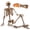 5.4ft Vintage style, variant on Ayieyill 65IN Halloween Skeleton Decorations, Weathered Posable Skeleton Decor for Halloween Decorations Outdoor Indoor