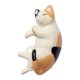 thumbnail image 3 of Xihbxyly Imán de Gato Adorable, Decoración Tridimensional de Resina, Potente Imán de Neodimio para Nevera, Accesorio Funcional para El Hogar, para Exhibir Fotos y Notas, Regalo para Amantes de Los Ga, 3 of 7