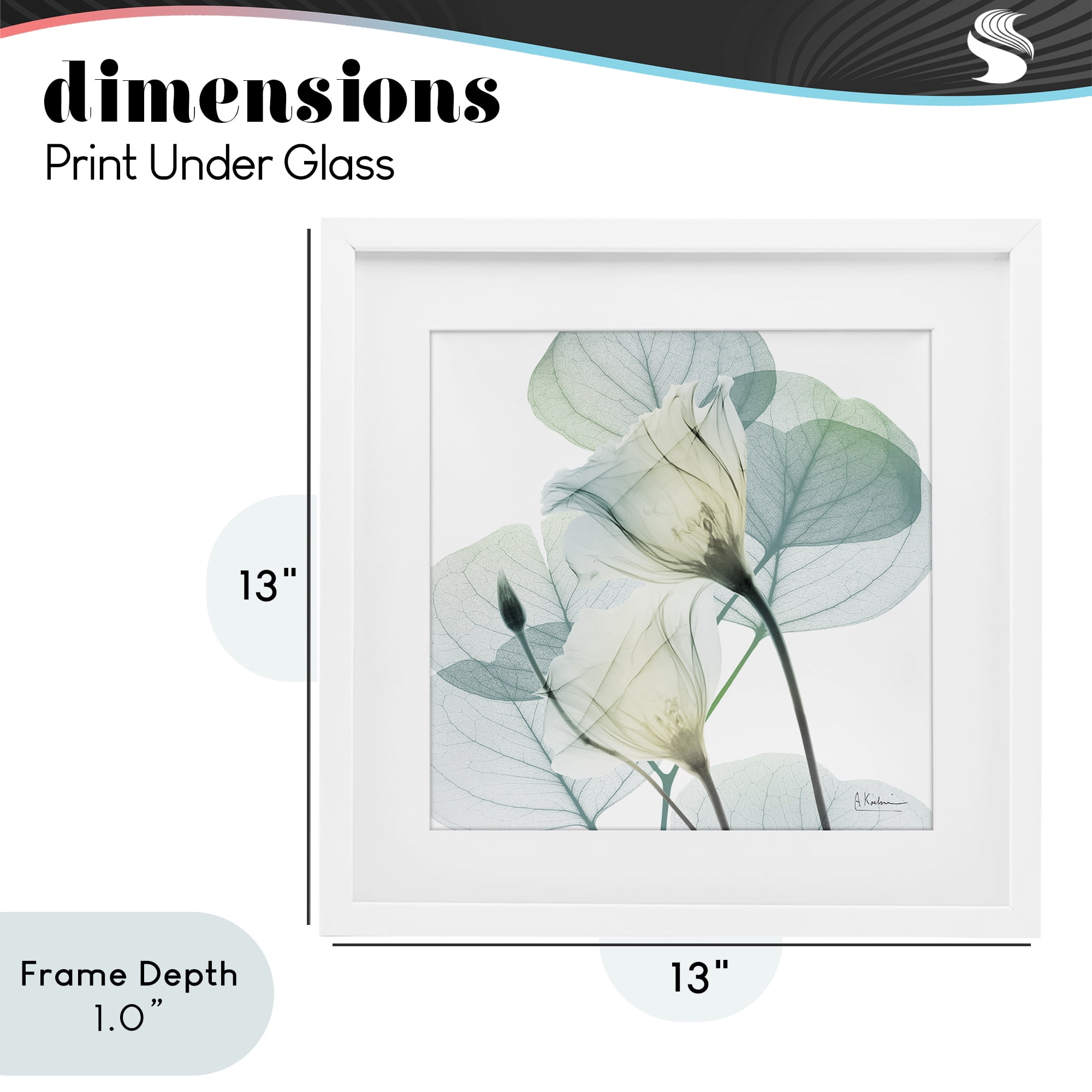 Stupell Industries Divine Fate Petals White Framed Print Under Glass, design by Albert Koetsier