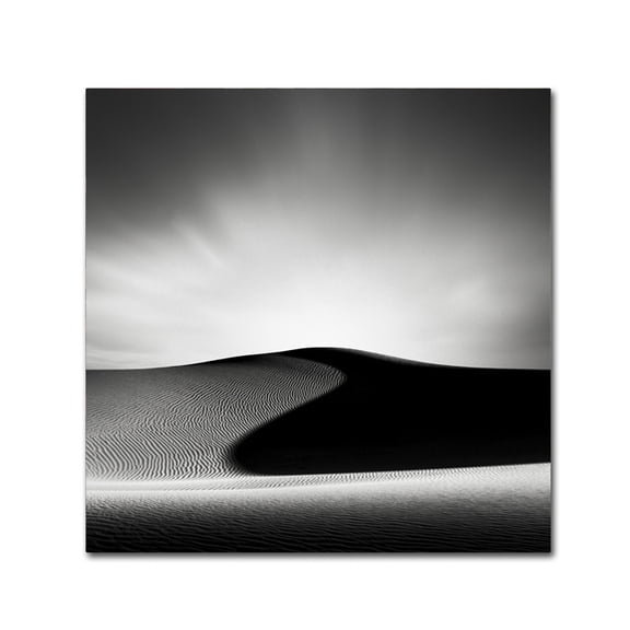 Dave MacVicar 'Dark Shadows' Canvas Wall Art 14 x 14