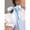 thumbnail image 4 of Toddler Deluxe Kansas Girl Costume, 4 of 7