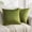 Light Green, variant on Phantoscope Velvet Decorative Throw Pillows with Inserts, 3D Patchwork Design, 18 x 18 in, Beige, 2 Pack