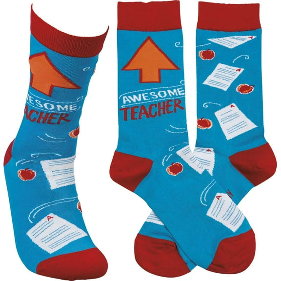 Primitives by Kathy Awesome Teacher Socks