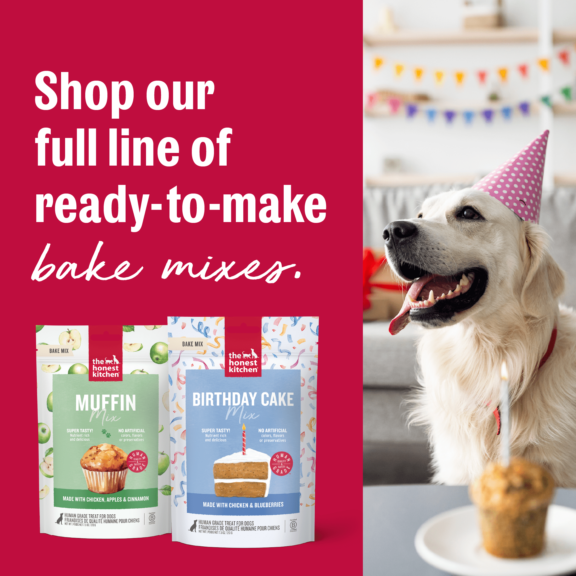 The Honest Kitchen Human Grade Birthday Cake Mix for Dogs, Chicken & Blueberry, Bake-at-Home Dog Celebration Cake, Real Ingredients, 7.5 oz