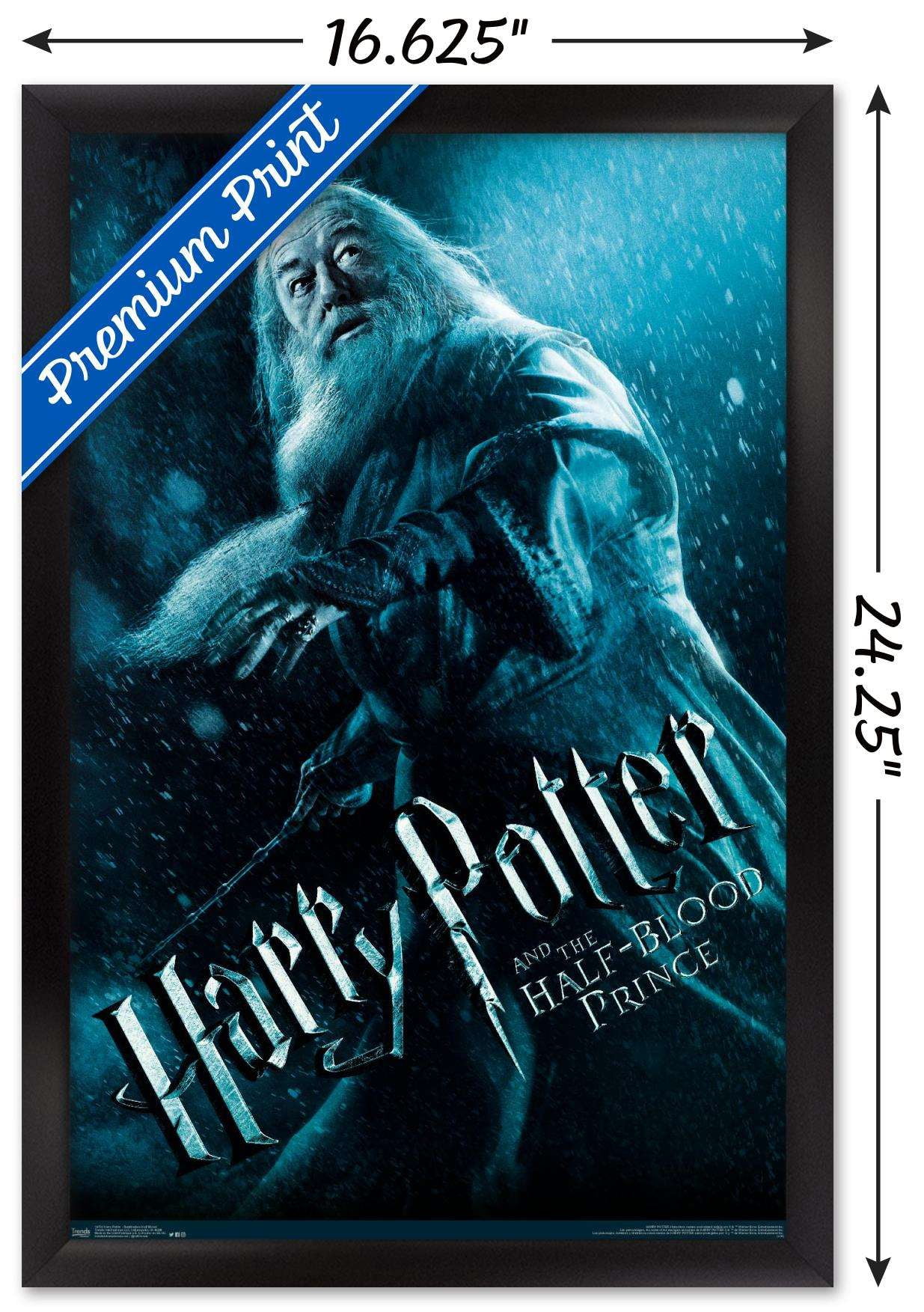 Harry Potter and the Half-Blood Prince - Dumbledore One Sheet Wall Poster, 14.725" x 22.375", Framed